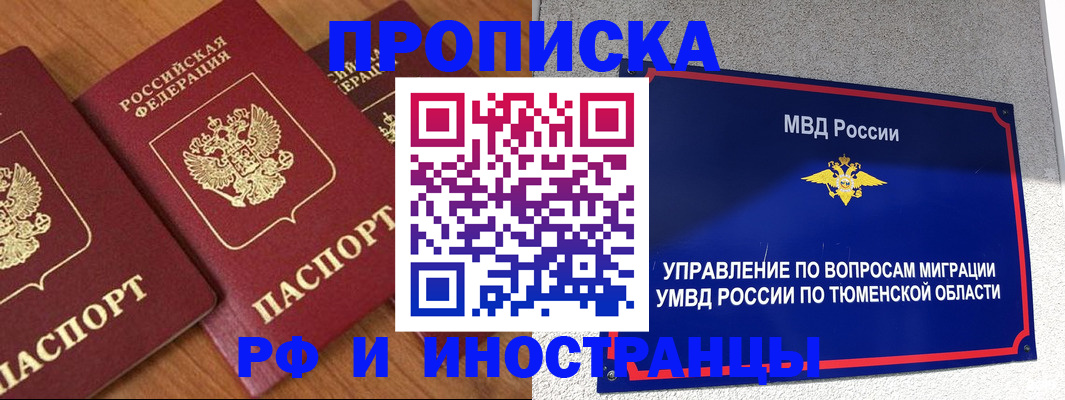 прописка поиск в Чудово